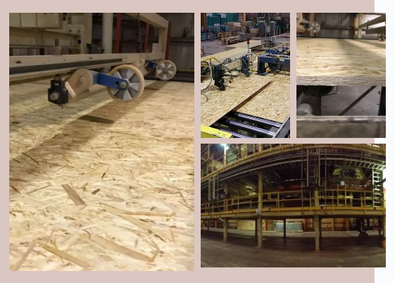 25道嚴(yán)苛工序，鑄就兔寶寶OSB五項(xiàng)全能——探秘加拿大OSB板材的精工之道